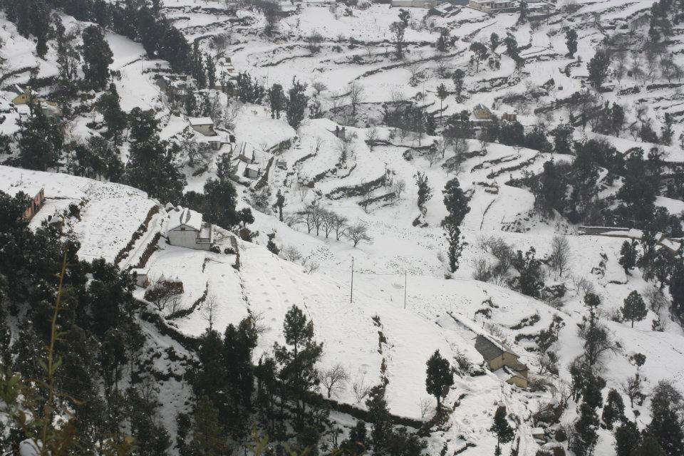 Dhanaulti